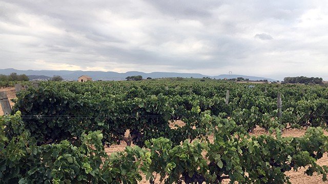 la segarra-2